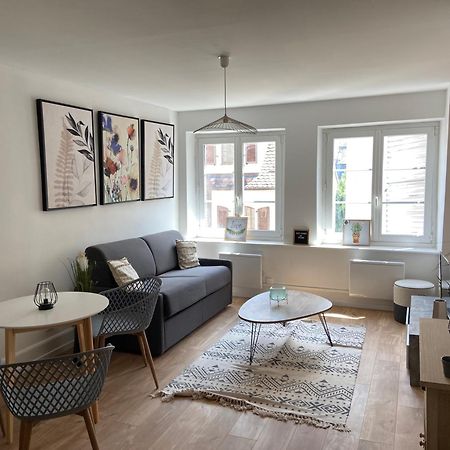 Apartament Studio Cathedrale Strasburg Zewnętrze zdjęcie